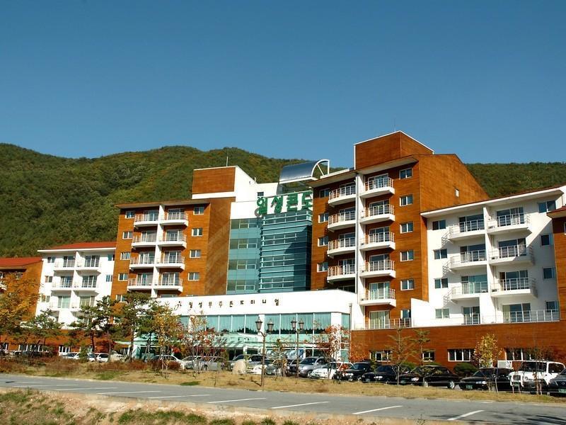 Muju Ilsung Condo المظهر الخارجي الصورة